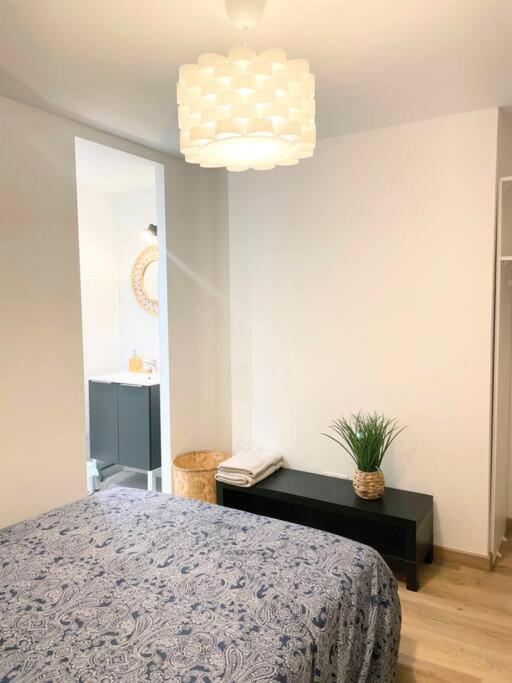 / Cocon \ Paisible Hyper Centre Rodez Apartamento Exterior foto
